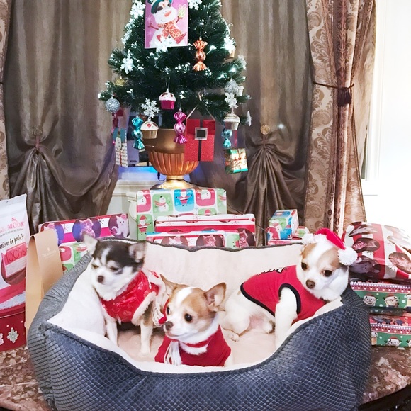 Meet your Posher, Najat - Picture 2 of 2